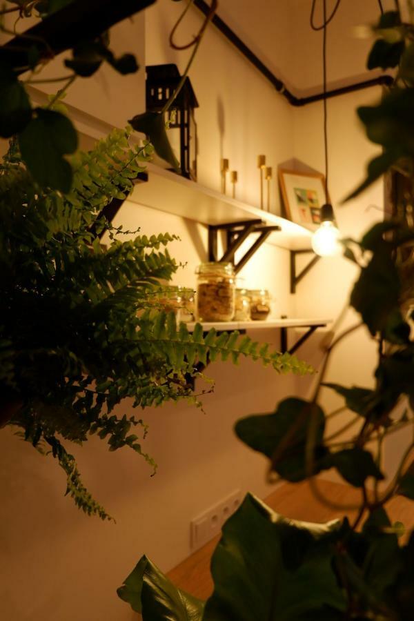 Singer Apartment Old Town Krakow Bagian luar foto