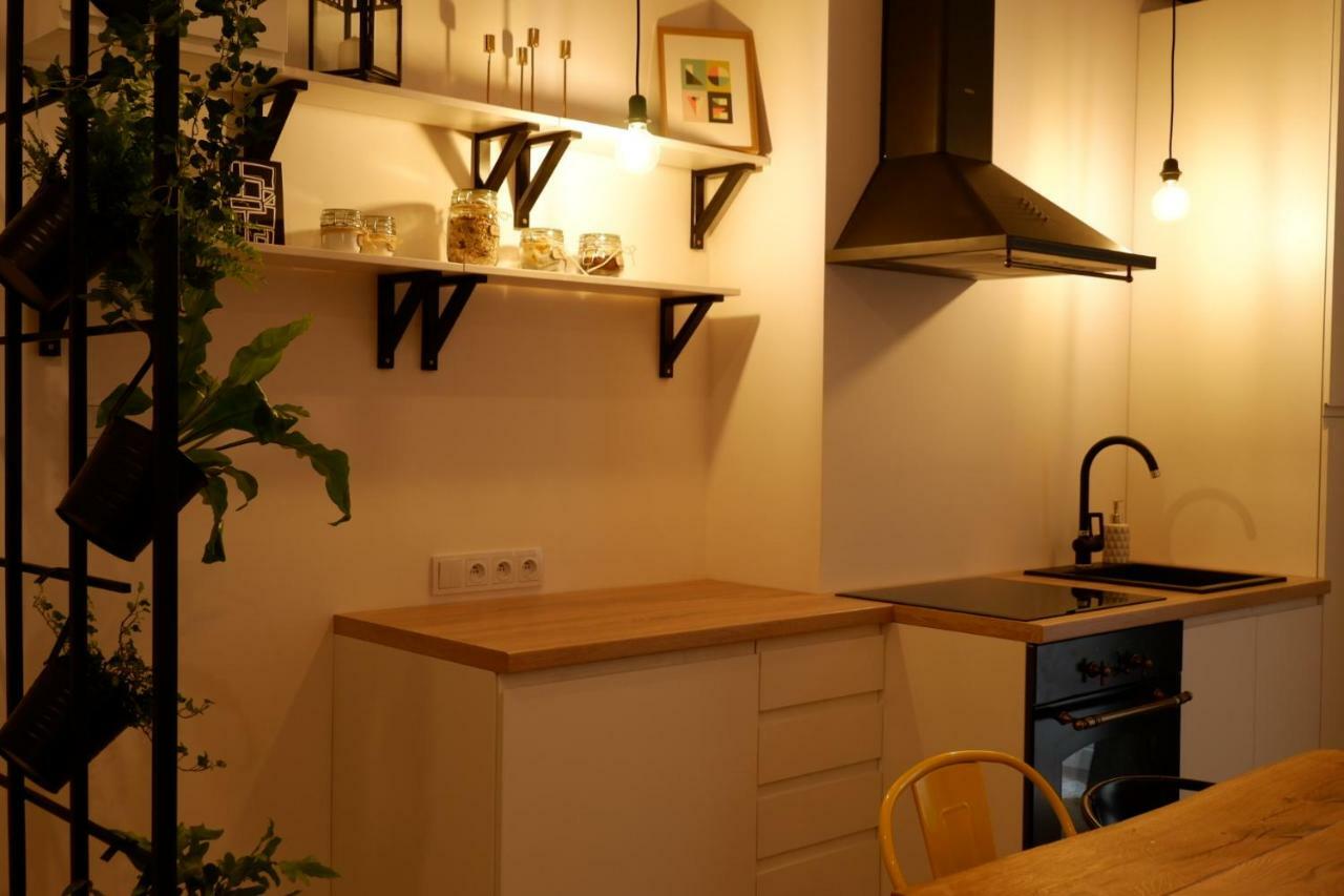 Singer Apartment Old Town Krakow Bagian luar foto